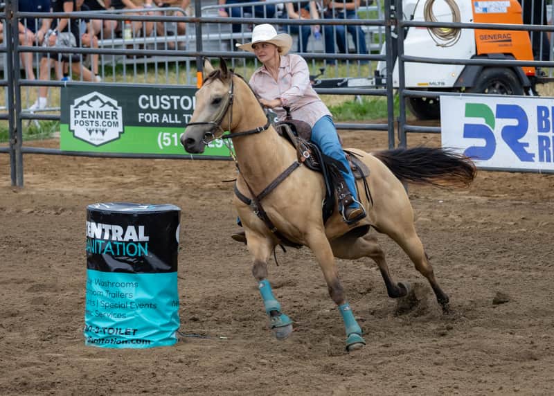 Buckskin horse turning a barrel at a rodeo with its rider
