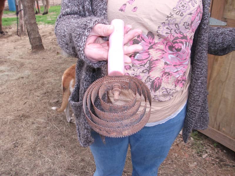 Rubber curry comb being used in circular strokes on a horse’s coat
